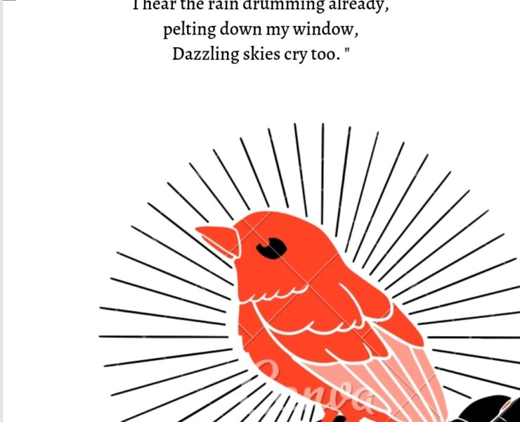 POETRY: SKIES CRY TOO | RACHELLE CHINAZOR NMOEMENAM