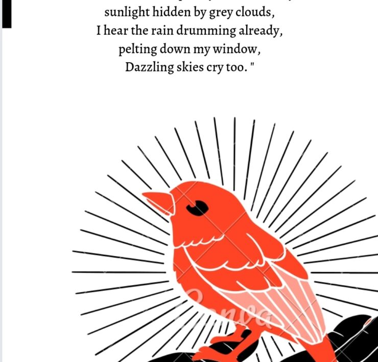 POETRY: SKIES CRY TOO | RACHELLE CHINAZOR NMOEMENAM POETRY: SKIES CRY TOO | RACHELLE CHINAZOR NMOEMENAM