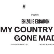 POETRY: MY COUNTRY HAS GONE MAD | EHIZOJIE EGBADON